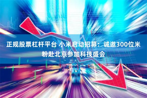 正规股票杠杆平台 小米启动招募：诚邀300位米粉赴北京参加科技盛会